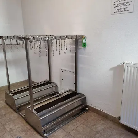 Chenina * Канацеї